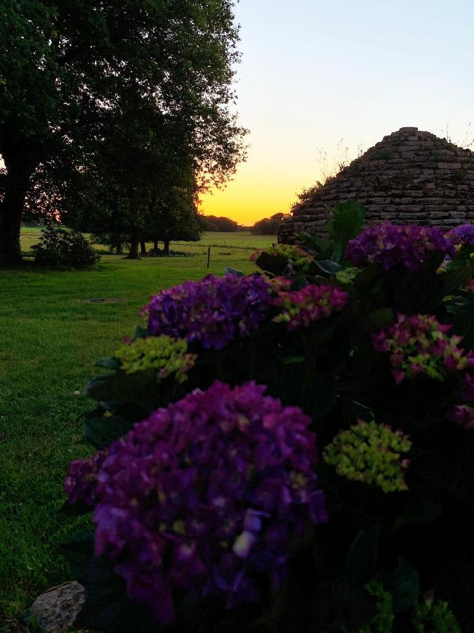 Au Coeur De La Nature Allaire Luaran gambar